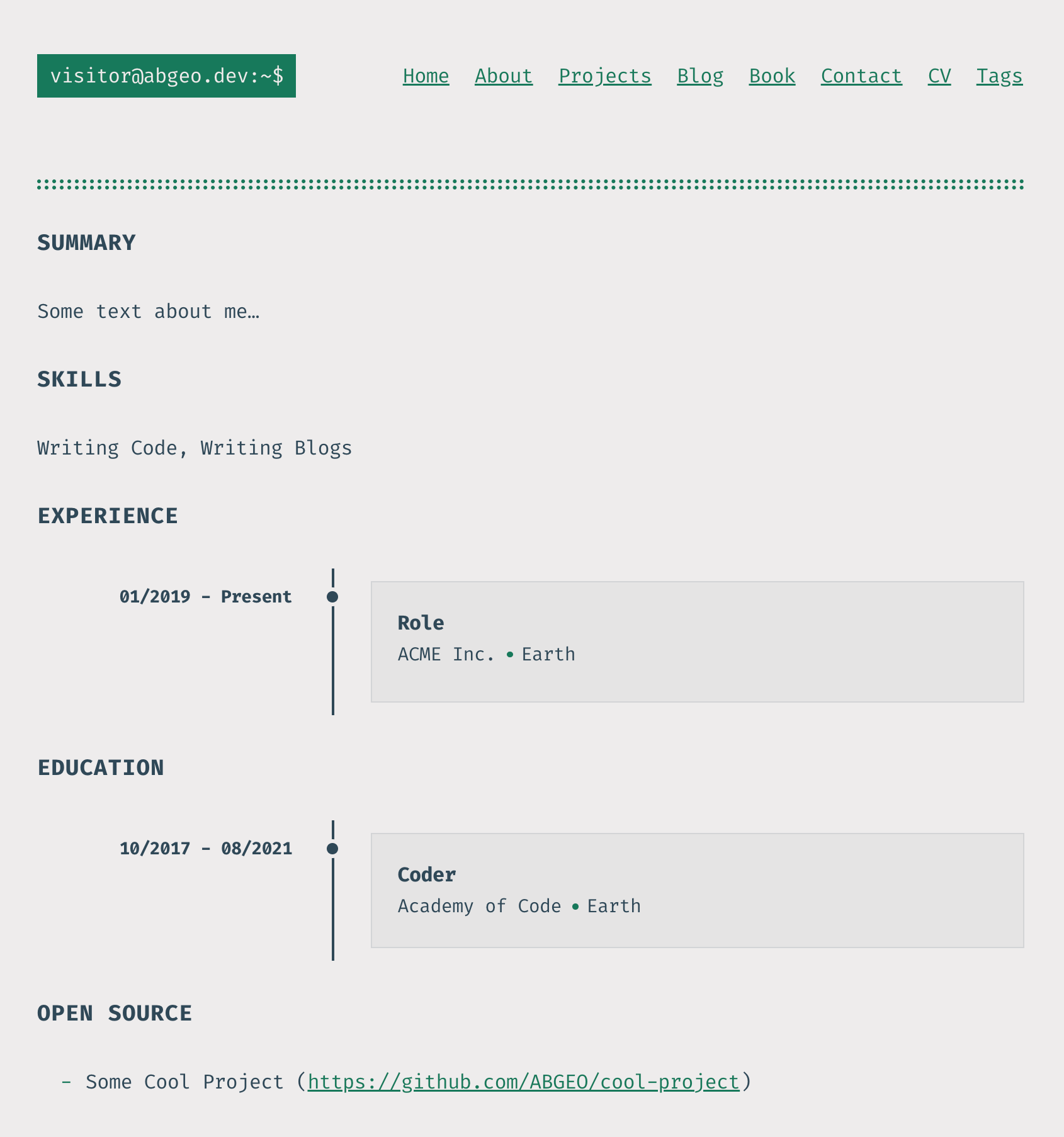 CV in Website Layout